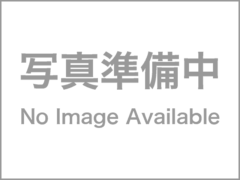特注LED電球